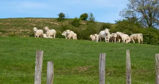 Les Baumes de Tersanne - village de gîtes