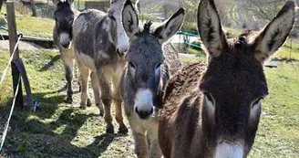 Les Baumes de Tersanne - village de gîtes