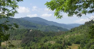 Aire de pique-nique du Mas