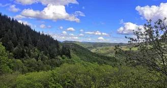 Le Temps Suspendu - Hébergement insolite (POD)