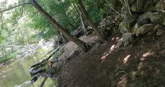 Le Temps Suspendu - Hébergement insolite (POD)