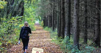 Enquête ludique à pied N°6 : Le sortilège de la Via Fluvia et des berges du Rhône