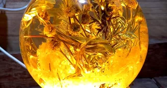 L'Atelier Fantalgébrique