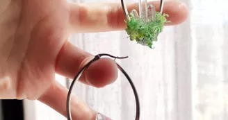 L'Atelier Fantalgébrique