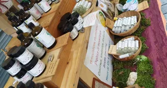 Herbula - Herbaliste