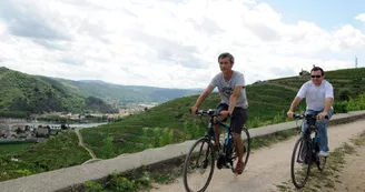 Location de vélos - Intersport Tournon sur Rhône