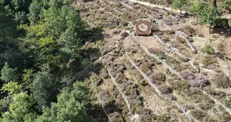 Sentier des faïsses