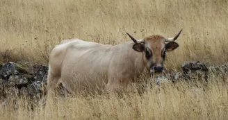 Gaec la Ferme de Claut - Alexandre Perrier