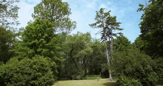 Domaine du Chemin Royal