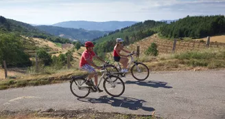 Location de vélos à assistance électrique