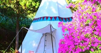 Camping et Hébergement de groupes Adrénaline