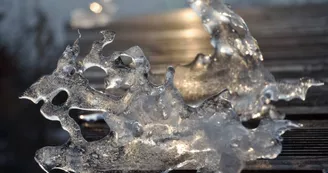 Claude Vogel Photographe