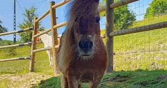 Les écuries du moulin à poudre