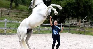 Les écuries du moulin à poudre