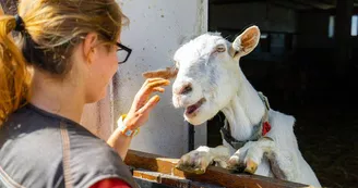Ferme de la Hardonnerie