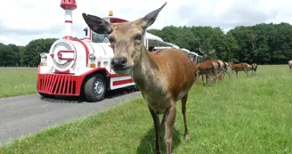 Réserve de Beaumarchais, Autrèche - Biche