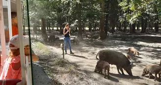 A bord du safari-train - Réserve de Beaumarchais, Autrèche.