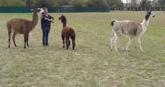 189089949_310712523772021_6097322734319495375_n