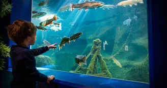 Aquarium_Touraine