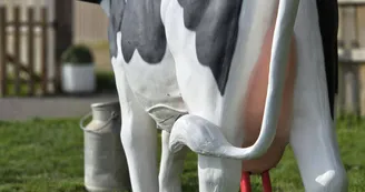 Mini ferme Domaine de la Borderie