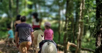 Mini ferme Domaine de la Borderie