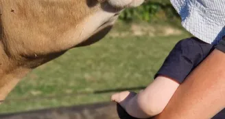 Mini ferme Domaine de la Borderie