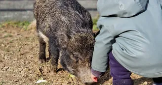 Mini ferme Domaine de la Borderie