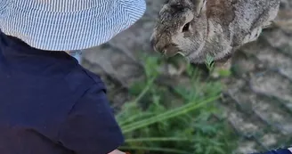 Mini ferme Domaine de la Borderie