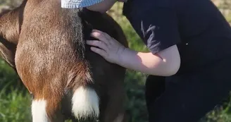 Mini ferme Domaine de la Borderie