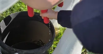 Mini ferme Domaine de la Borderie