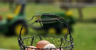 Mini ferme Domaine de la Borderie