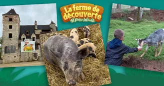 campagne-facebook-ferme-st-pierre-lafeuiile-03