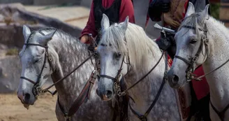 Durandal Rocamadour1