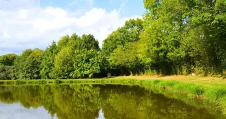 Aire de Camping-cars - Pageas 