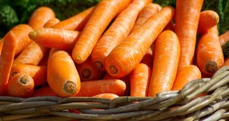 carrots-g87ee26094_1280