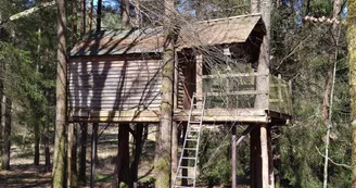 la cabane dans les arbres