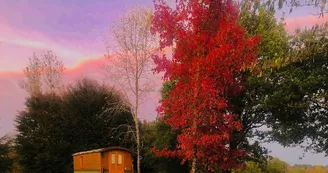 Roulotte la Chouette des Granges_3