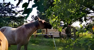 237058439_2763177107238070_4120188643317034378_n