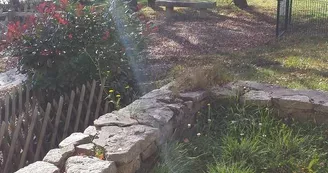 décor-perception-rayon