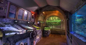 Aquarium Refuge de Limoges_2
