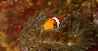 Aquarium Refuge de Limoges_4