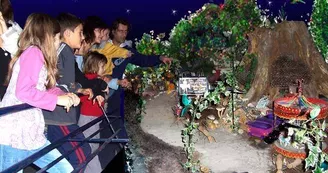 Feeriland  fourmiville