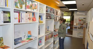 Ô coquin de sort Nexon