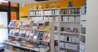 Ô coquin de sort Nexon