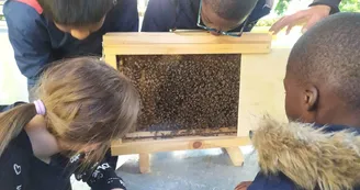 FB_IMG_1763621458635