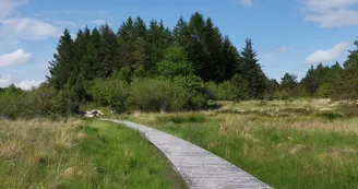 sentier de beauvais 2 (Large)