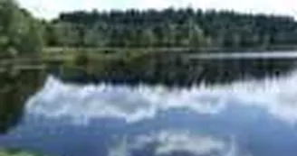 Tourbière de la route élevée_1