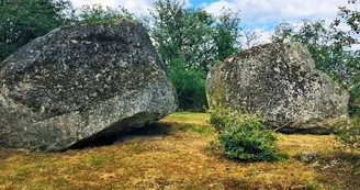 Le Puy des Roches, à Cheissoux_1