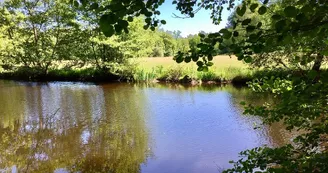 La Vienne à Nedde_2