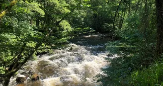 Les Gorges de la Vienne_3